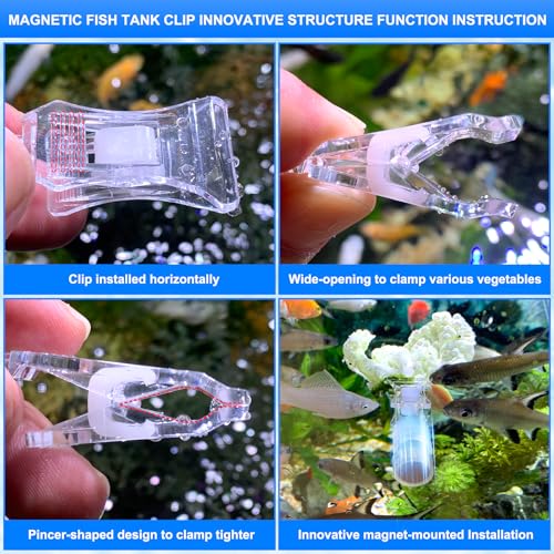 Magnetic Aquarium Veggie Clip Plant Feeding nori Seaweed Clip for Saltwater Fish Aquarium Magnet Lettuce Food clamp Fish Accessories—Patented Product (2pcs Magnetic Veggie Clip)