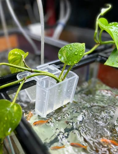 sogiv 3 Holes Aquatic Plant Cups, Hanging Aquarium Plant Holder for Fish Tank Plants Potting, Aquascape Accessories Decorations, Clear, 1 Pcs - color: Clear, 1 Pcs