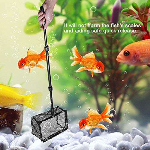 Aquarium Fishing Landing Net, Easy to Carry, 3 Sizes to Choose, Great Tool for Fish, Widely Used, Lightweight, for Home and Aquarium Use - size: Large