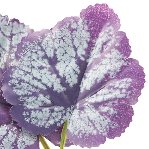 2PCS Purple Betta Fish Leaf Artificial Aquarium Plants Fake Plants Betta Bed Leaf Hammock Beta Fish Leaf Bed Aquarium Purple Plant Leaf Hammock Suction Cup Fish Tank Betta