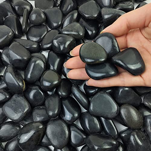 FANTIAN 5 lbs Polished Black Pebbles for Indoor Plants, 0.8-1.2 Inch Small Bag Black Stones. Decorative River Rocks for Plants Aquarium Planter Vase Fillers Landscaping and Garden - size: 0.8-1.2 inch, style: 5.0 Pounds