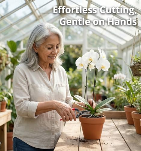 Gardeness Gardening Scissor 2 PCS SK5 high Carbon Steel Straight Florist Scissors, Pruning Snip, Multi-Tasking Garden Precision Herb Snips Flower Clippers Bonsai Trimmers Hydroponic Herbs