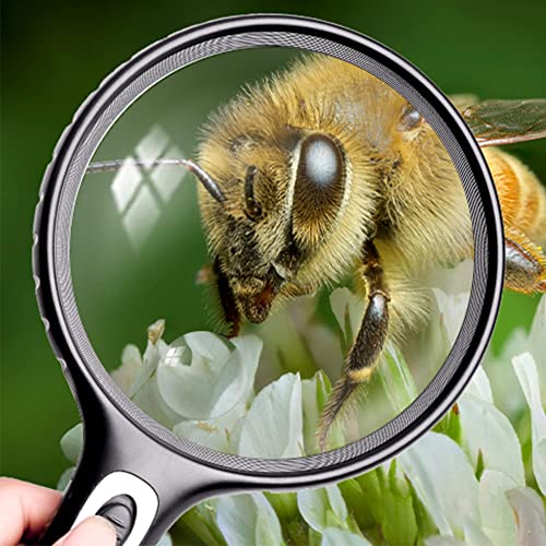 Lighted Magnifying Glass Handheld，10X / 25X Large Magnifying Glass with Light，Led Magnifiers for Seniors,Reading Books, Medicine Bottle Small Font