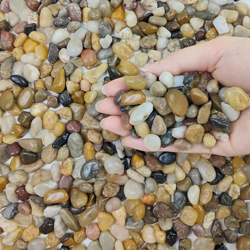 FANTIAN 5 lbs Polished Pebbles, 3/8 Inch Pea Gravel for Plants, Decorative Stones River Rocks for Succulent Soil Cover, Cactus, Aquarium, Vase and Outdoor Garden Landscaping - size: 5 pounds, style: Natural