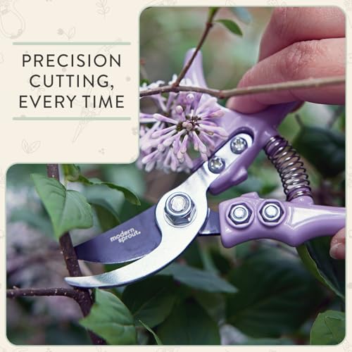 Modern Sprout Hand Pruners & Shears Set w/blister - Lightweight Gardening Tools - Easy Lock - Sharp Carbon Steel Blades - Rust Resistant Scissors for Herbs & Flowers- Gift for Father's Day - Sage - color: Sage