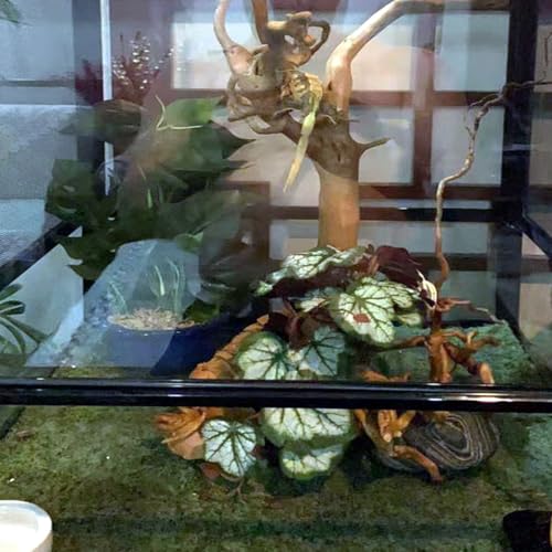 Reptile Plants for Terrarium Decor,Amphibian Habitat Decor,Artificial Plants for Gecko Chameleon Snake Tortoise Tank Accessories with Base (Green heuchera micrantha) - color: Green Heuchera Micrantha
