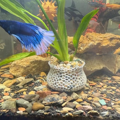 HOZOE Aquarium Submerged Plant Pot, Underwater Plant Anchor, Fish Tank Aquatic Plante, Aquarium Landscaping Decoration, Decorative Accessories - 2-Piece Set (Translucent) - color: Translucent