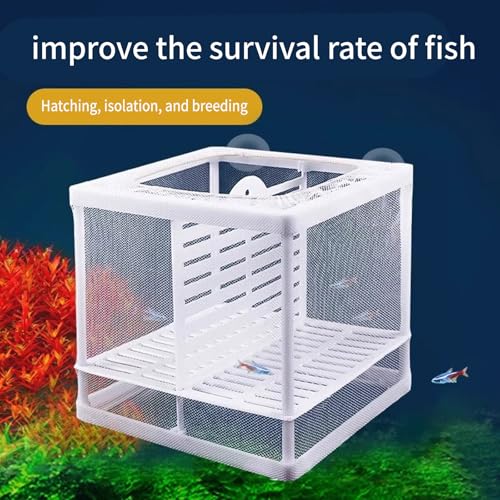 2PCS Protective Aquariums Breeding Cage Netting Nursery Tanks with Suction Cup for Fry Rearing and Secure Observation Fish Breeding Box with Suction Cup - color: Upgrade large number