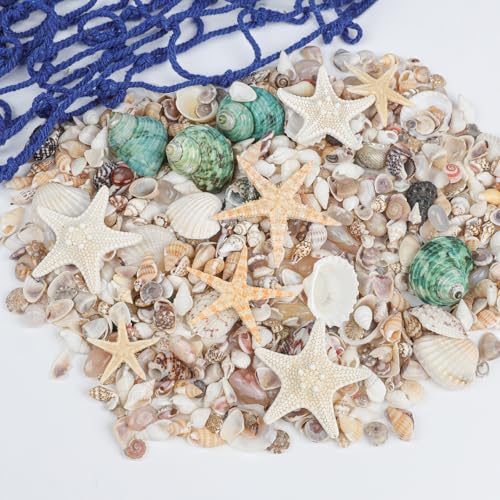 Fangoo 1500 Pieces Small Sea Shells Conch Natural Starfish Mixed Agate Pebble Stone for DIY Crafts Tiny Seashells for Vase Filler Candle Making Home Decor Wedding Beach Ocean Party Decorations