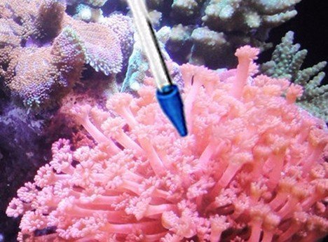 Coral Feeder SPS HPS Long Version CFT-2 for Marine Fish Reef Aquarium, 55CM Tube (21.65 in), Acrylic Tube Feeding Tool for Reef Corals Anemones Eels Lionfish Liquid Fertilizer Accurate Dispenser - size: CFT-2