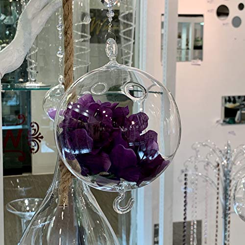 WGV Hanging Terrarium Globe, Width 5", Height 7", Double Hook, DIY Air Succulent Planter, Clear Glass Vase Orb, Candle Holder for Windowsill Outdoor Garden Decor, 6 Pieces Bulk - size: 5" Double Hook