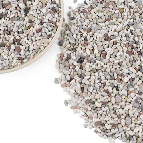 7lb Succulent and Cactus Gravel Pebbles, 1/5 Inch Mixed Color Natural Rocks for Fish Tank, Indoor Plants, Aquarium, Vases, Landscaping - color: AK Stones, size: 7lb