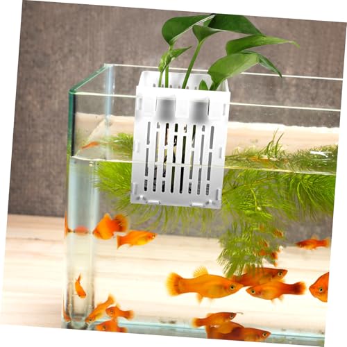 BESPORTBLE 2pcs Aquarium Plant Holder Baskets White Aquatic Plant Cup Fish Tank Holder Aquarium Supplies