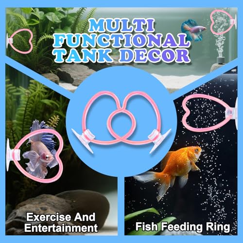 Betta Fish Toys, 2 PCS Heart Fish Exercise Ring and Nitrifying Balls Set, Heart Betta Mirror Toy Set, Feeding Ring with Suction Cup, Fishing Tank Accessories for Gifts (Pink) - color: Pink Heart