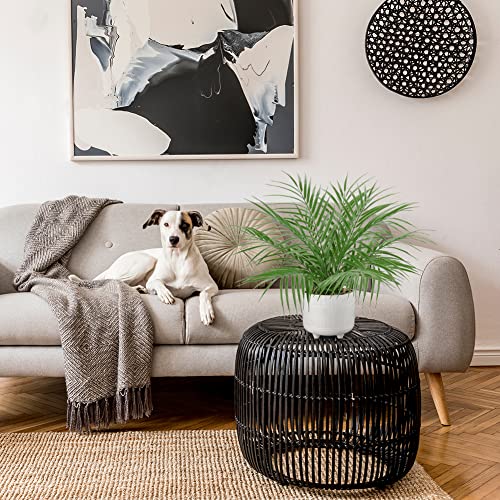 Hollyone Large Artificial Potted Plants Fake Palm Plants 19" Faux Green Plant Plastic Tropical Palm Tree in White Ceramic Pots Bohemian for Home Room Office House Indoor Decoration - color: 19" Palm Potted-8