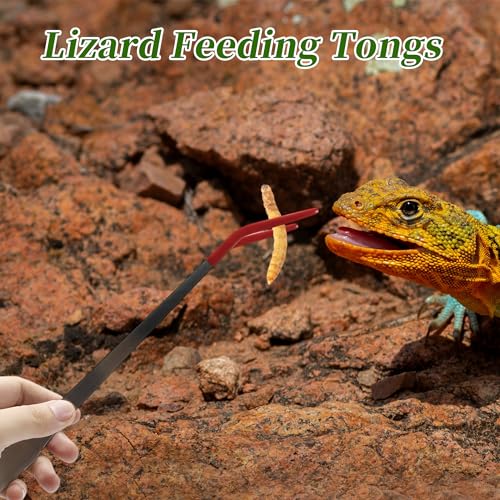 Reptile Feeding Tongs, Stainless Steel Lizard Feeding Tongs, Aquarium Curved Feeding Tweezers for Reptiles with Rubber Tip, Terrarium Feeding Tongs for Gecko, 14.96" Length, Red - color: Red, size: 14.96"