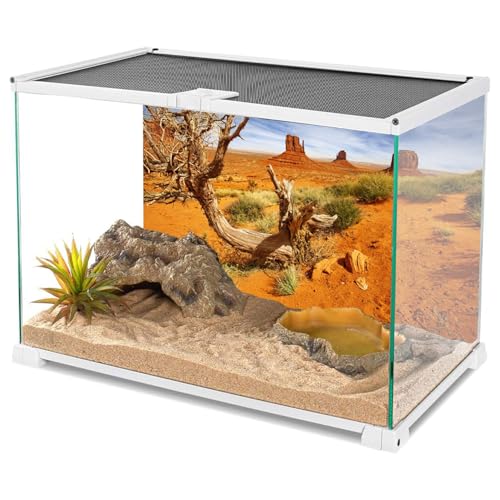 AWERT 72x24 inches Reptile Habitat Background Orange Desert Terrarium Background Durable Polyester Background - size: 72x24in/180x60cm