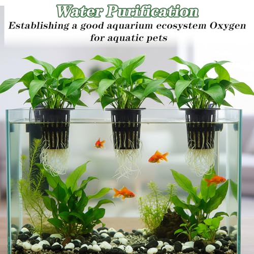 Telooco 4 Pcs Upgraded Large Aquarium Plant Holder with 3 Sizes Extension Hooks and 8 Suction Cups for Fish Tank Aquaponic Plant Cultivation and Hanging Aquatic Plants Aquascape Decorations (Black)