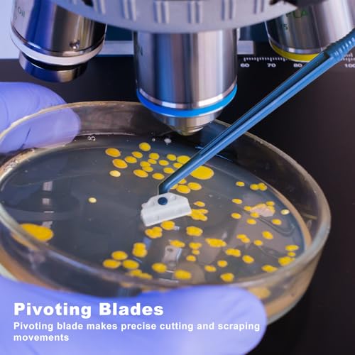 Biologix 100PCS Cell Culture Scraper, Multi-Position 18cm Handle Cell Scraper, Sterile, Individually Packaged, Polyethylene, Non-Pyrogenic - size: 18cm length
