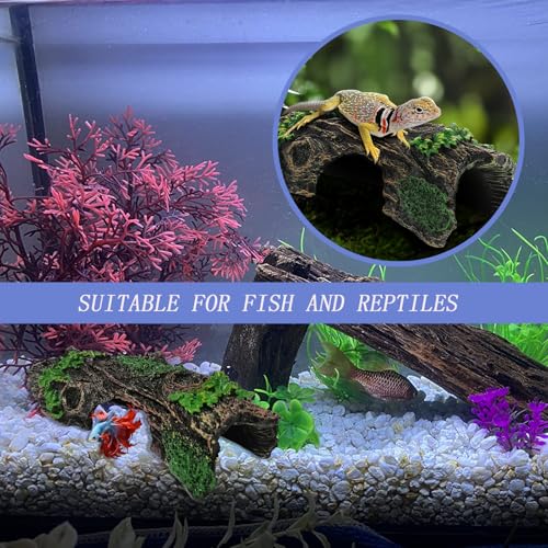 Starfish and Resin Hollow Tree Trunk Fish Tank Decorations, Betta Fish Tank Accessories, Aquarium Arnaments Hollow Tree x 1pc, Fish Aquarium Decorations Starfish x 2pcs(Blue and Yellow)