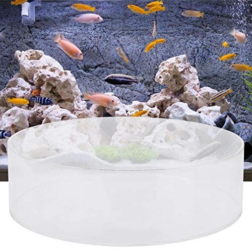 Coral Viewer Fish Tank Acrylic,Fish Tank Acrylic Coral Observe Lense Aquarium Fish Photograph Cylinder Magnifier Coral Observe Lense (150mmm)