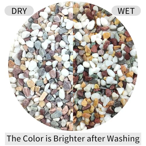 FANTIAN 2 lbs Natural Mixed Color Pea Gravel Pebbles, 3/8 inch Decorative Rocks for Succulents, Pebbles for Indoor Plants, Vases, Aquarium Gravel, Top Dressing, Outdoor Decorative Stones - color: Colorful Gravel