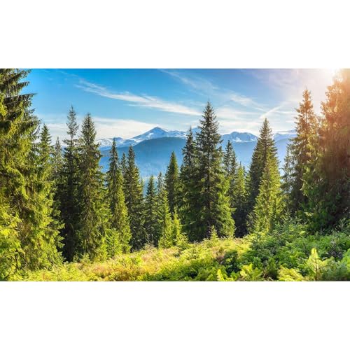 Majestic Mountain Forest Aquarium Background Scenic Evergreen spruce coniferous trees Fish Tank Background High mountains Pine Tree Terrarium Backgrounds Green Meadows Reptile Tank Backgrounds 24x12in - color: Jade Green, size: 24(W)x12(H)in
