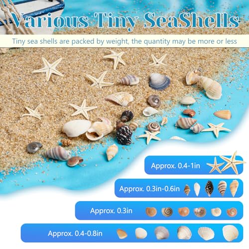 1200 Pieces Tiny Sea Shells Small Natural Starfish Mixed Ocean Beach Spiral Seashells for Home Decorations,Wedding Decor,Candle Making,Beach Theme Party,DIY Crafts and Vase Filler