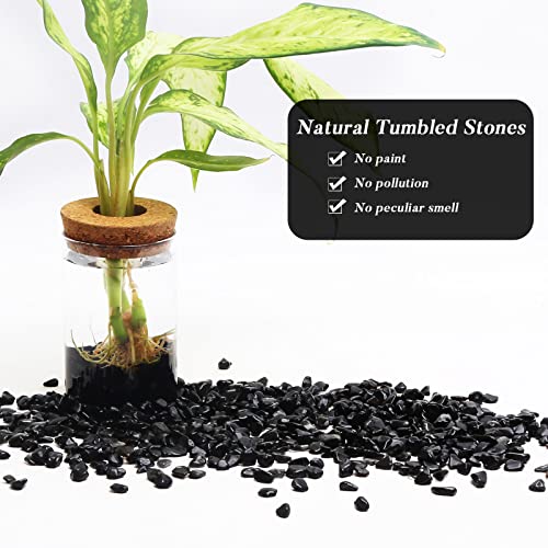 QICQDRAM Black Obsidian Tumbled Stone Chips 0.9 Lb/405g Natural Crystal Stone Decorative Pebbles for Home Decoration & Fish Turtle Tank, Vase Filler, Plants Decor - color: Obsidian