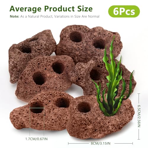 Lava Rock Aquarium, 6Pcs Aquarium Rocks Large for Fish Turtle Tank Plants, Decorations for Aquascaping, Fish Tank Ornaments, Terrarium