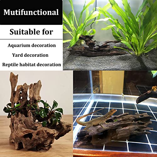 PINVNBY 6 PCS Natural Driftwood for Aquarium Decor 3.9" - 7.8" Large Driftwood for Reptile Tank Fish Aquarium Driftwood Branches Terrarium Decoration Assorted - size: 3.9" - 7.8"