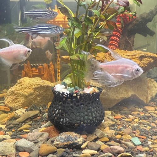 HOZOE Aquarium Submerged Plant Pot, Underwater Plant Anchor, Fish Tank Aquatic Plante, Aquarium Landscaping Decoration, Decorative Accessories - 2-Piece Set (Black) - color: Black