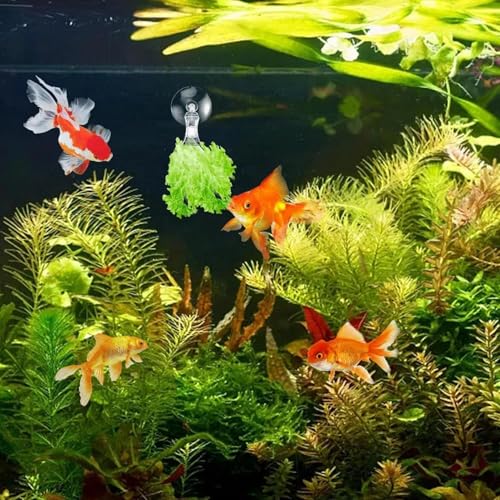 4 Pack Fishes Veggie Seaweed Plant Suction Cup Clip, Clear Plastic Feeding Tool Holder Aquarium Accessories for Fish Tank Feeder Clips
