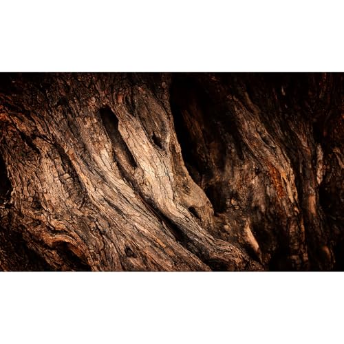 Tree Trunk Texture Aquarium Background Wood Tree Bark Reptile Tank Background Aged Rough Natural Wooden Bark Habitat Terrarium Background Wooden Textured Aquarium Fish Tank Background Decor 48x24in