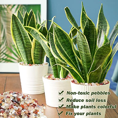 Halatool 2.2LB Crystal Pebbles 0.27"- 0.79" Natural Landscaping Pebbles Aquarium Gravel Decorative Polished Stone Suitable for Plants Home Decoration DIY Handmade Fish Tanks Vase Filler - size: 2.2 LB, style: Crystal Pebbles