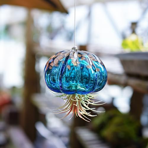 H&D HYALINE & DORA Blown Glass Jellyfish Hanging Air Planter, Cute Blue Jellyfish Air Plant Holder Gifts for Women Room Garden Wedding Party Decor (No Plants) - color: Jellyfish-sky Blue
