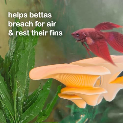 Mushroom Betta Perch Hammock | Suction Cup Aquarium Decor & Enrichment for Bettas | Resting Spot & Fish Tank Decoration (Light Blue) - color: Light Blue