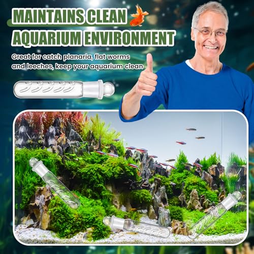 Qualirey 4 Pack Planaria Catch Trap for Aquarium Snail Leech Clear Glass Planaria Trap for Dwarf Shrimp Red Cherry Shrimp Tank(5 Holes) - style: 5 Holes