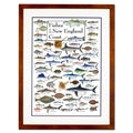Earth Sky + Water - Fishes of the New England Coast - Double-matted Posters with Honey Frame - color: Honey Frame