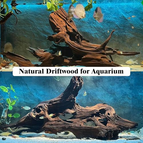 kathson Natural Driftwood for Aquarium Decor, 3-Piece 7''-11'' Large Driftwood for Decorations on Fish Tank, Reptiles Bearded Dragon Terrarium Ornament Accessories or Air Plants