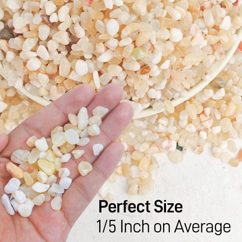 CJGQ 2.4lb Aquarium Gravel for Plants,1/5 Inch Natural Decorative River Rocks for Succulent and Cactus Landscaping, Natural Small Rocks for Fish Tanks, Vases & Terrariums - color: Mixed Beige, size: 2.4lb