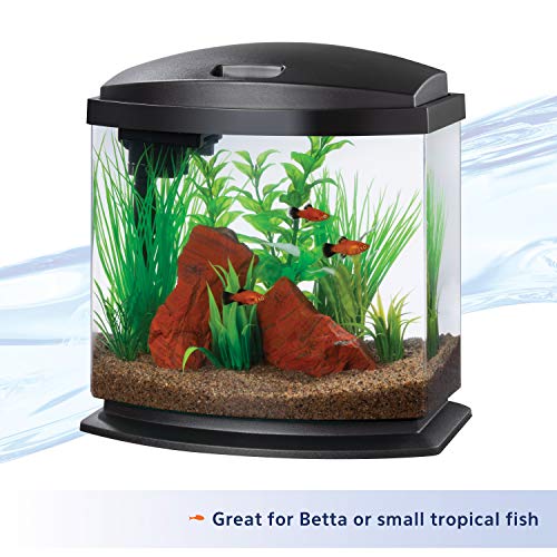 Aqueon LED MiniBow Small Aquarium Fish Tank Kit with SmartClean Technology, Black, 2.5 Gallon - color: Black, size: 2.5 Gallon
