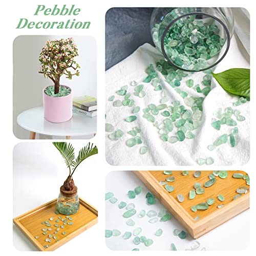 QICQDRAM Natural Green Flourite Crystals Bulk 0.9 Lb/405g Small Tumbled Chips Crystal Stone Decorative Pebbles for Home Decoration & Fish Turtle Tank, Vase Filler, Plants Decor - color: Green Flourite