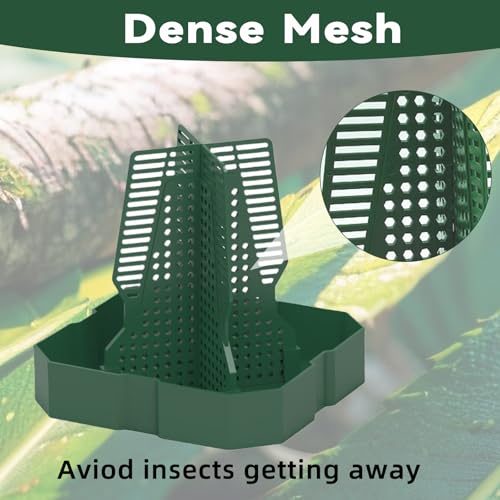 Chameleon Feeder+Bearded Dragon Feeder for Mounted Insect with Rope and Tweezers, Tank and Aquarium Accessories for Lizard, Bearded Dragon, Gecko, Frog（Medium） - size: Medium