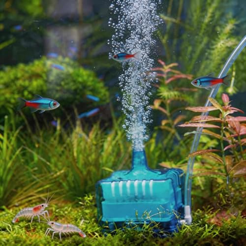 Fish Tank Filter Aquarium Sponge Filter Quiet Small Filter for 1-20 Gallon Aquariums Detachable with Activated Carbon and Air Stone Blue (Air Pump and Air Hose not Included) - color: Blue Filter