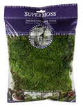 SuperMoss (21542) Mood Moss Preserved, Fresh Green, 4oz - color: Fresh Green, size: 120 in3 Bag (Appx. 4oz)