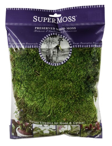 SuperMoss (21542) Mood Moss Preserved, Fresh Green, 4oz - color: Fresh Green, size: 120 in3 Bag (Appx. 4oz)