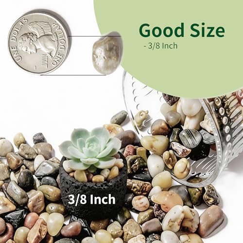 Small Rocks for Plants，3/8" Small Pebbles，1lbs Small River Rocks Decorative Pea Gravel，Pebbles for Indoor Plants, Vases, Bamboo, Succulent, Terrarium, Crafts, Cactus - color: Natural Mixed Color, size: 1 LB