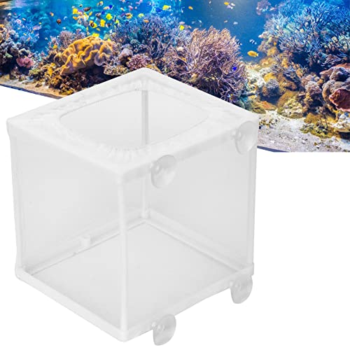 Fish Breeding Aquarium Box, Multifunctional Fish Breeder Box for Small Fish, Size S - size: Small
