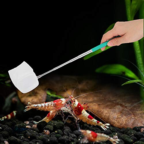 Fish Net for Fish Tank, Aquarium Fish Net Fine Net Mesh with Extendable Stainless Steel Handle Tiny Fish Tank Net Shrimp Net for Baby Fish Food Debris Skimming Net - color: Green, size: square mesh
